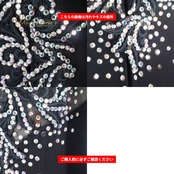 社交ダンス 衣装 Dance fashion design room ドレス ワンピース ラテン ブラック系 黒 レース デモ 競技 ダンス パーティ 発表会 軽い 薄い 長袖 上品 高級感 舞台衣装 エレガント 上品