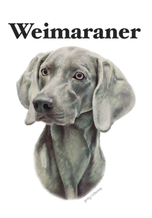 gray original Dog face &breed printed S/S TEE［weimaraner］