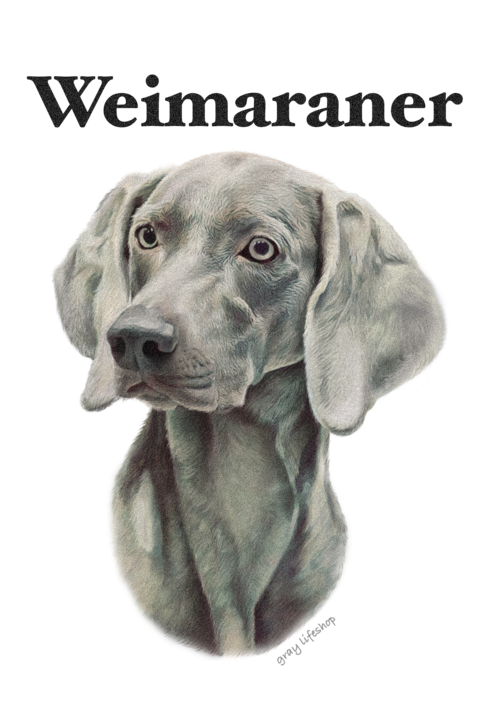 gray original Dog face &breed printed S/S TEE［weimaraner］