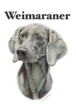 gray original Dog face &breed printed S/S TEE［weimaraner］