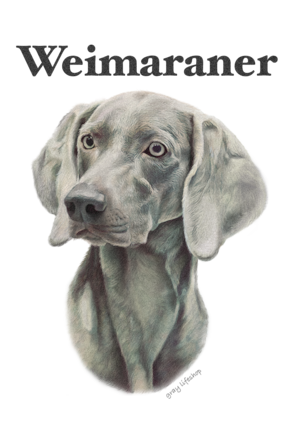 gray original Dog face &breed printed S/S TEE［weimaraner］