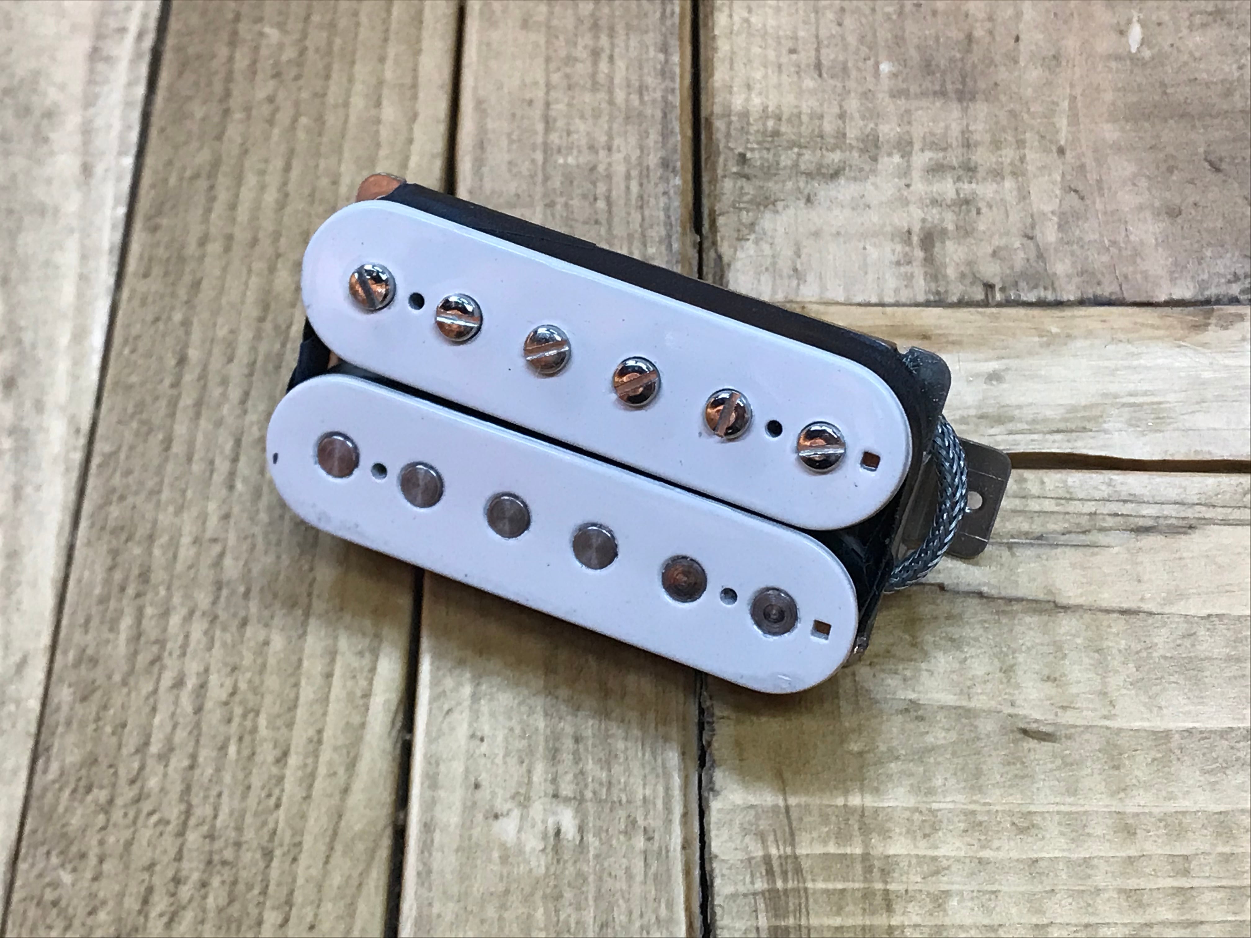 NAKED CATS / MAGIC DRAGON 