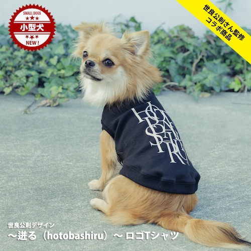 【世良公則さん監修・コラボ商品】世良公則デザイン 〜迸る（hotobashiru）〜 ロゴTシャツ（小型犬）【送料無料】