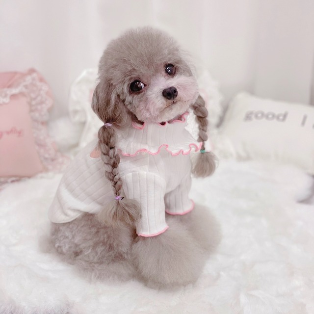 ネックフリルリブTOPS