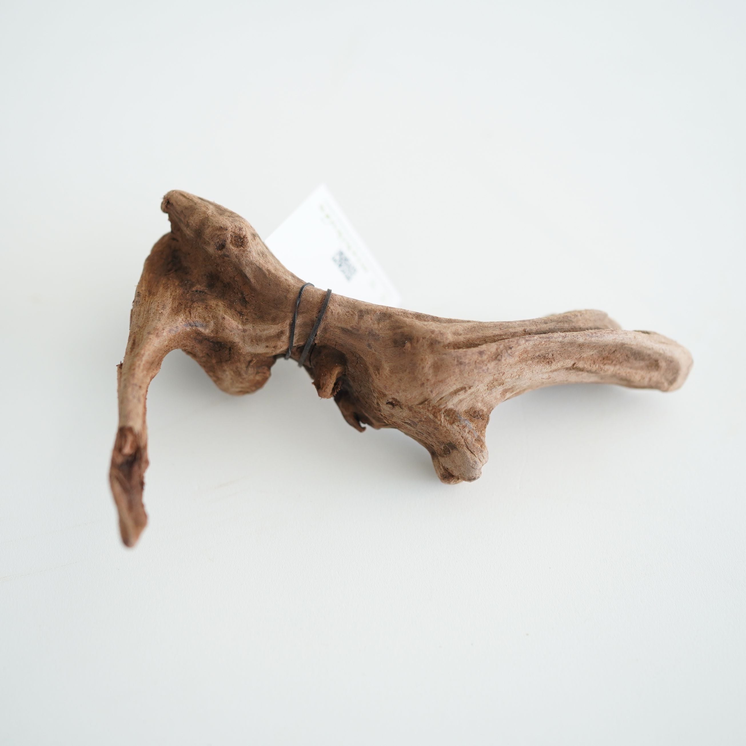 テラリウム用マングローブ系流木 S◇フィット容器に入るサイズ◇形状