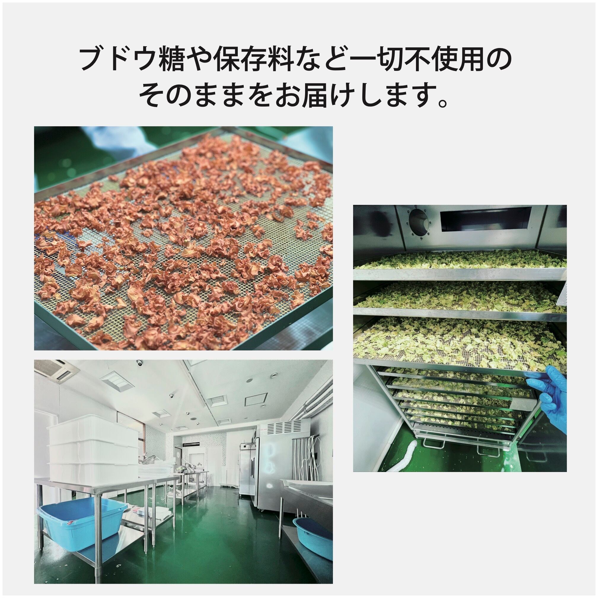 高知乾燥野菜MIX100g | ALL SLOW FOOD (オールスローフード)