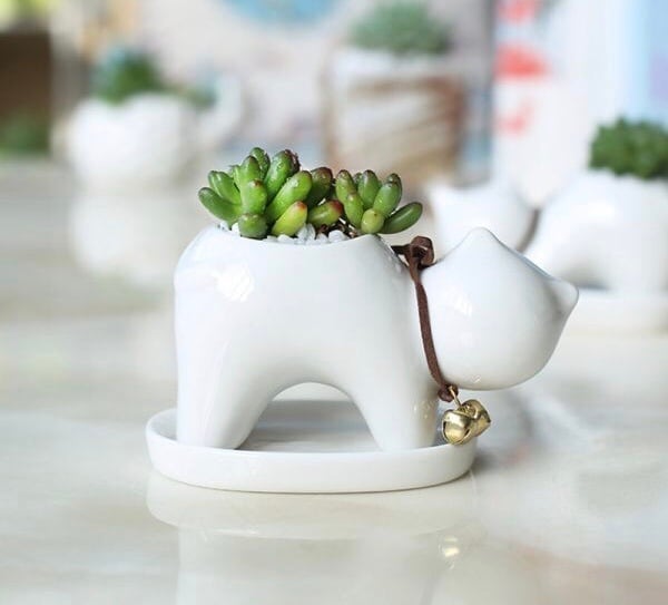 可愛いミニ猫 磁器植木鉢 2個セット