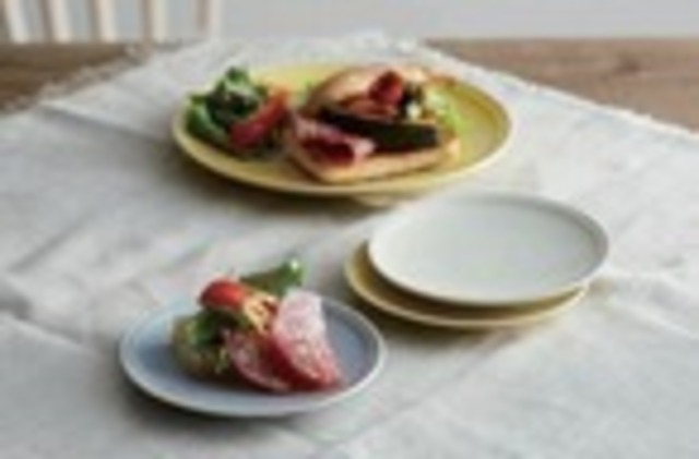 シェルプレート [サイズ: M]