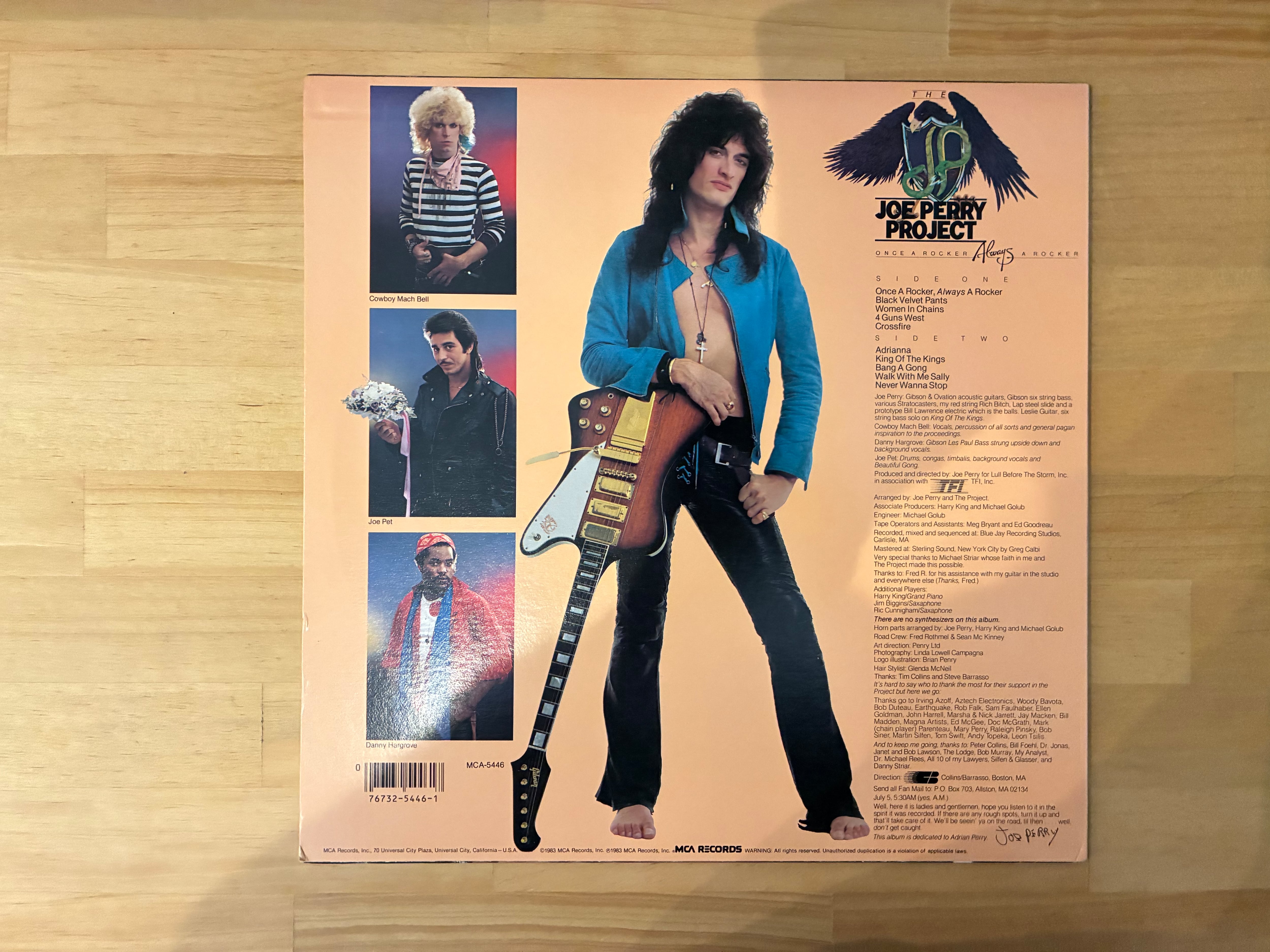 JOE PERRY / ONCE A ROCKER ALWAYS A ROCKER | sixteen records