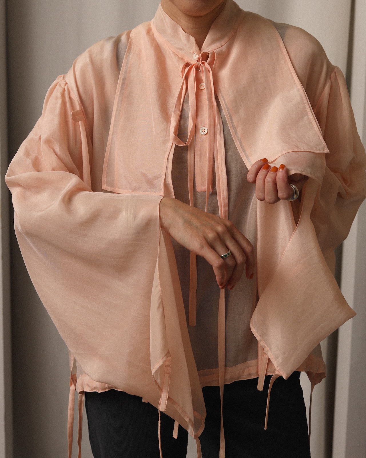 Lanvin / Sheer Blouse