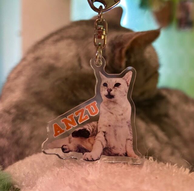 ねこカフェなる在籍猫スタッフオリジナルアクリルキーホルダー各種