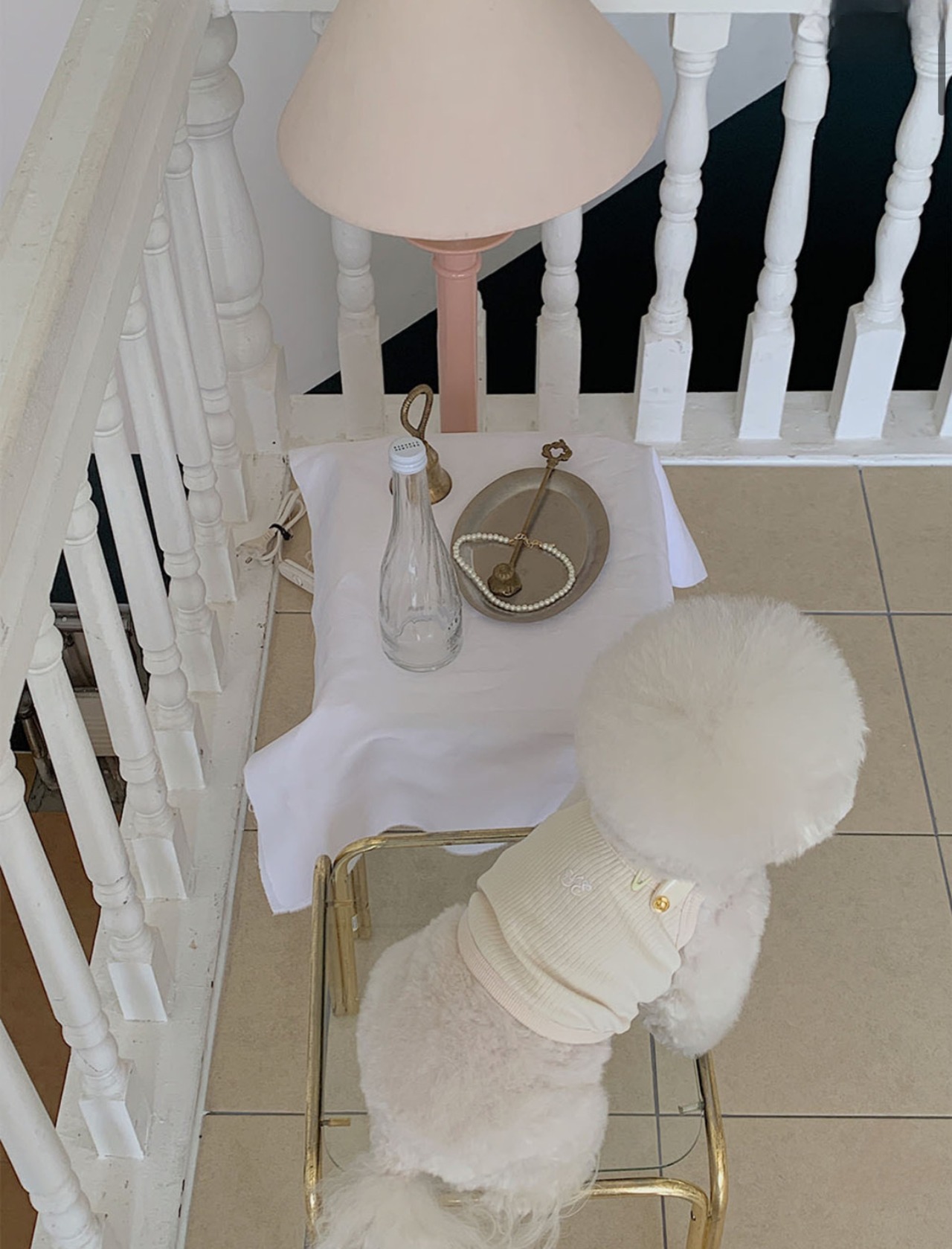 即納 【seenii】ceci crop top (ivory)