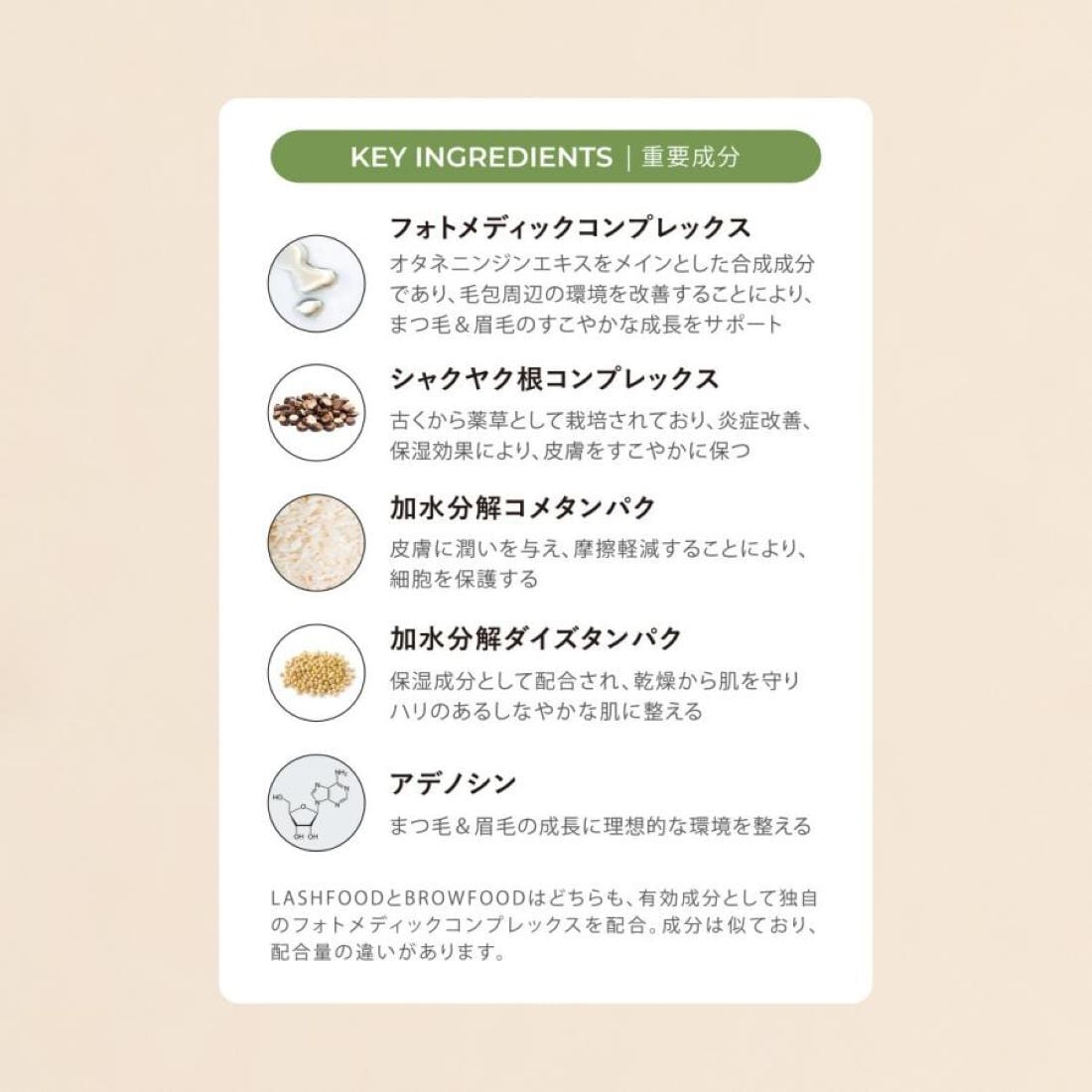 LASHFOOD｜ラッシュフード まつげ美容液 エコサート 天然成分 | Reze