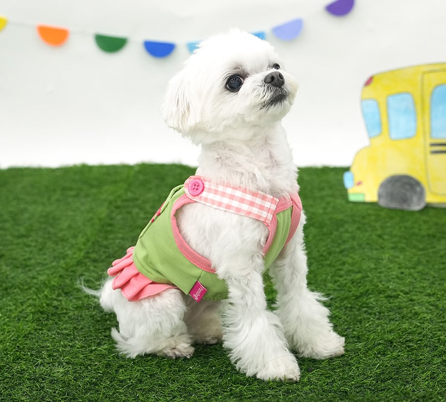 【予約商品5％OFF】pleats crop onepiece S ~ XL 2color  /  犬服 春夏 新作 可愛い 犬の服 ワンピース ショート丈 袖なし crop top お揃い ドッグウェア 涼しい ストレッチ シンプル