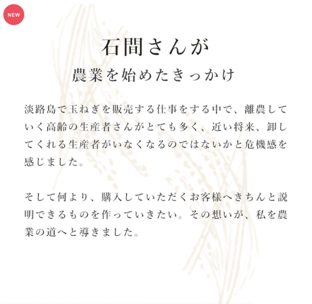 定期便2kg  兵庫県産「旭一号」