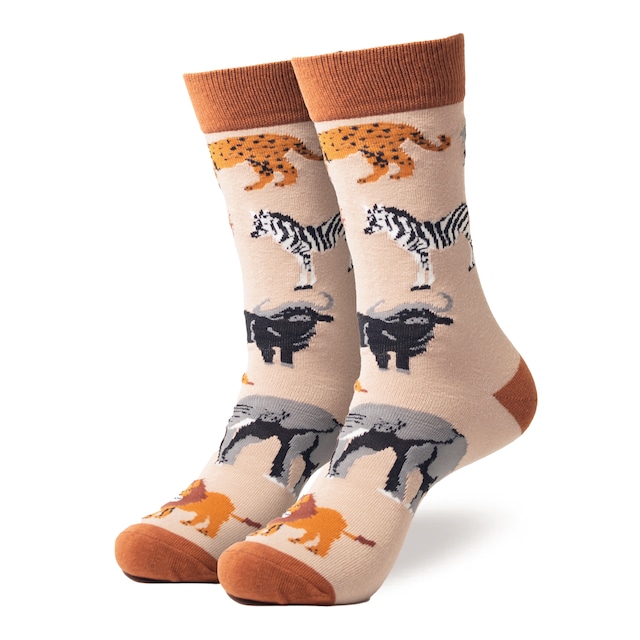 Safari socks サファリ ソックス