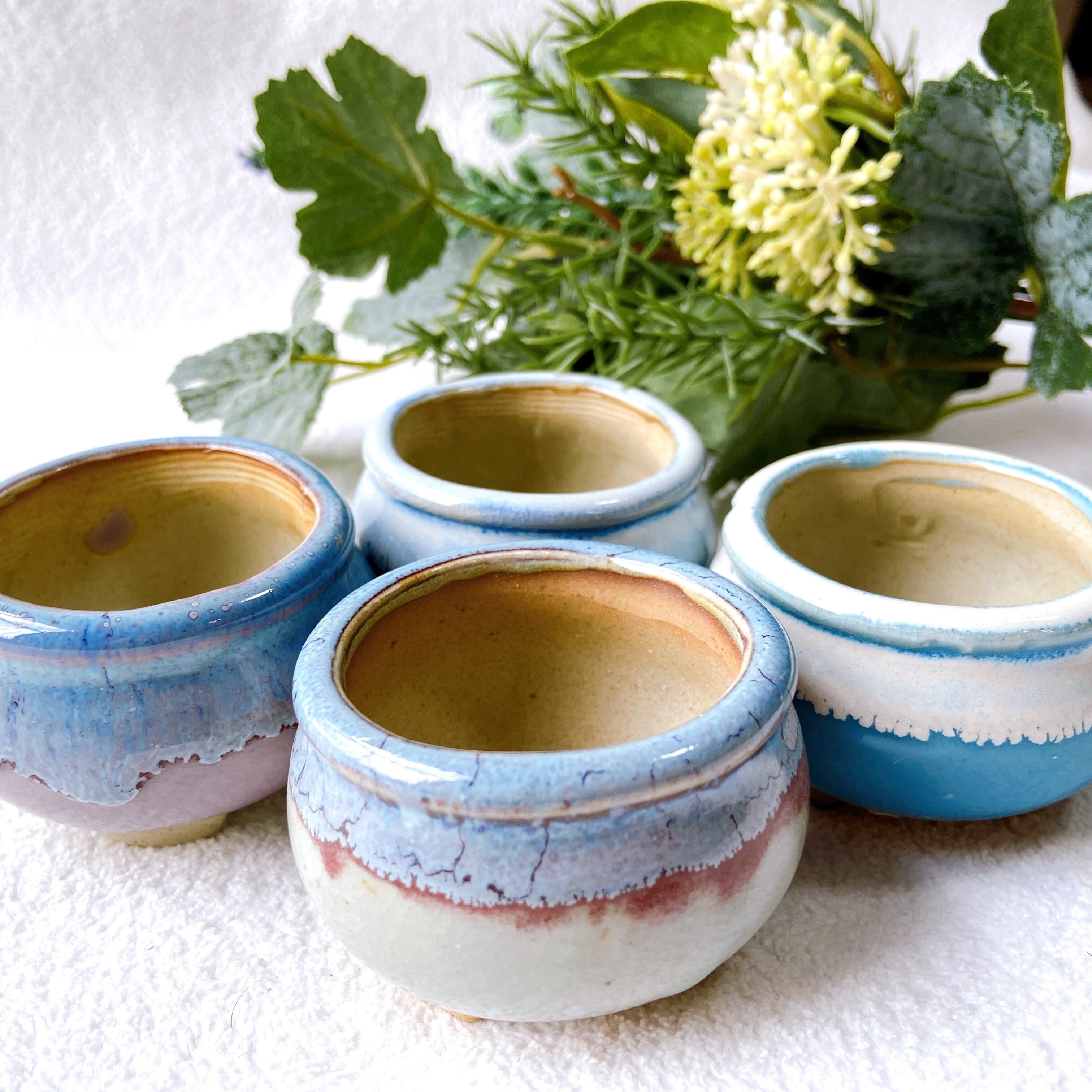 当店1大人気！ アソート4色の陶器製植木鉢 4点セット】 多肉植物・小品