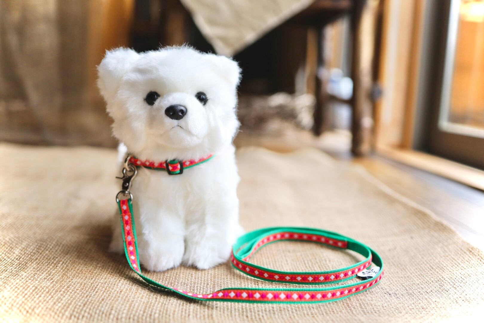 首輪&リード〈SSサイズ〉