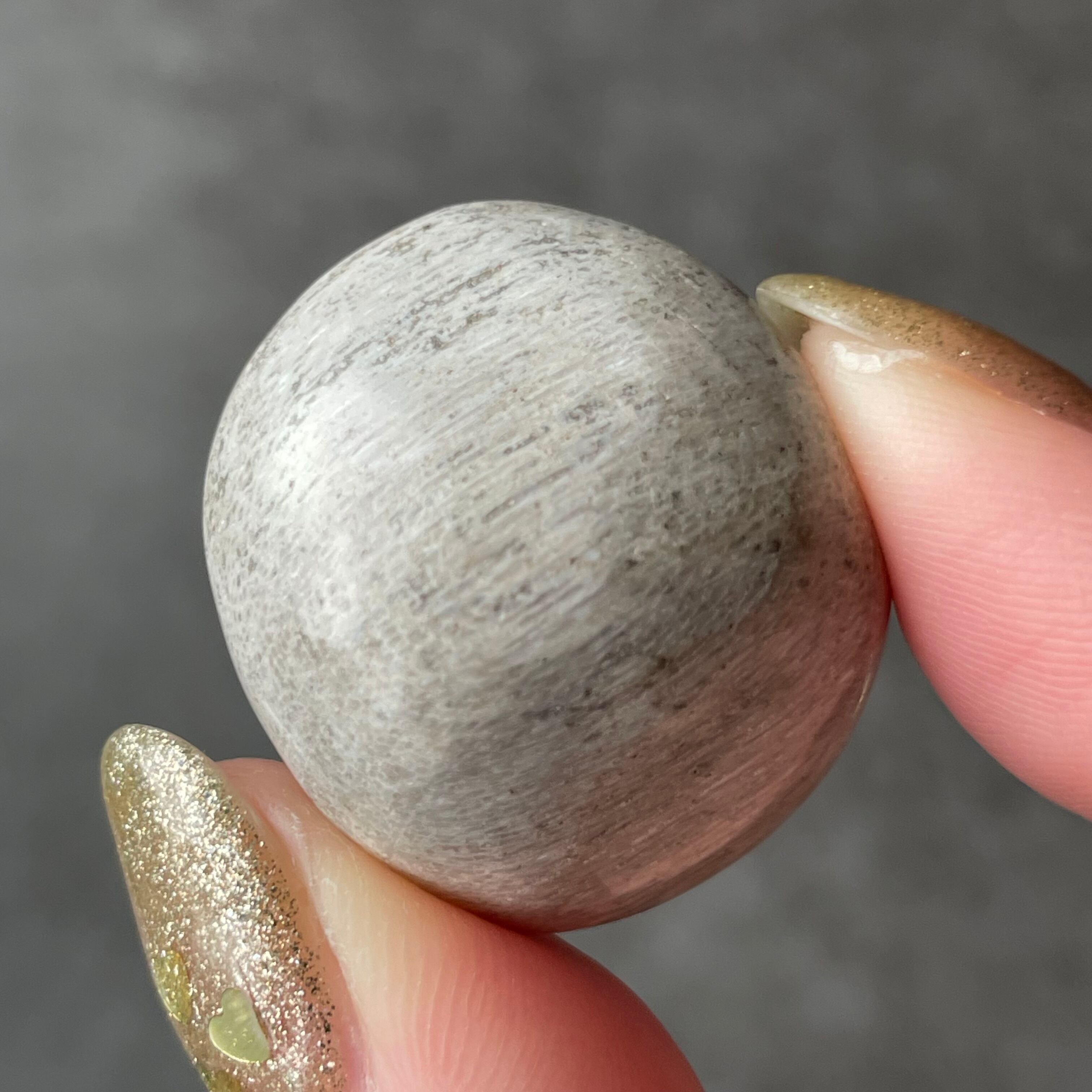 Petrified Wood ペトリファイドウッド|Tumble タンブル|天然石 パワーストーン 鉱物 gem stone