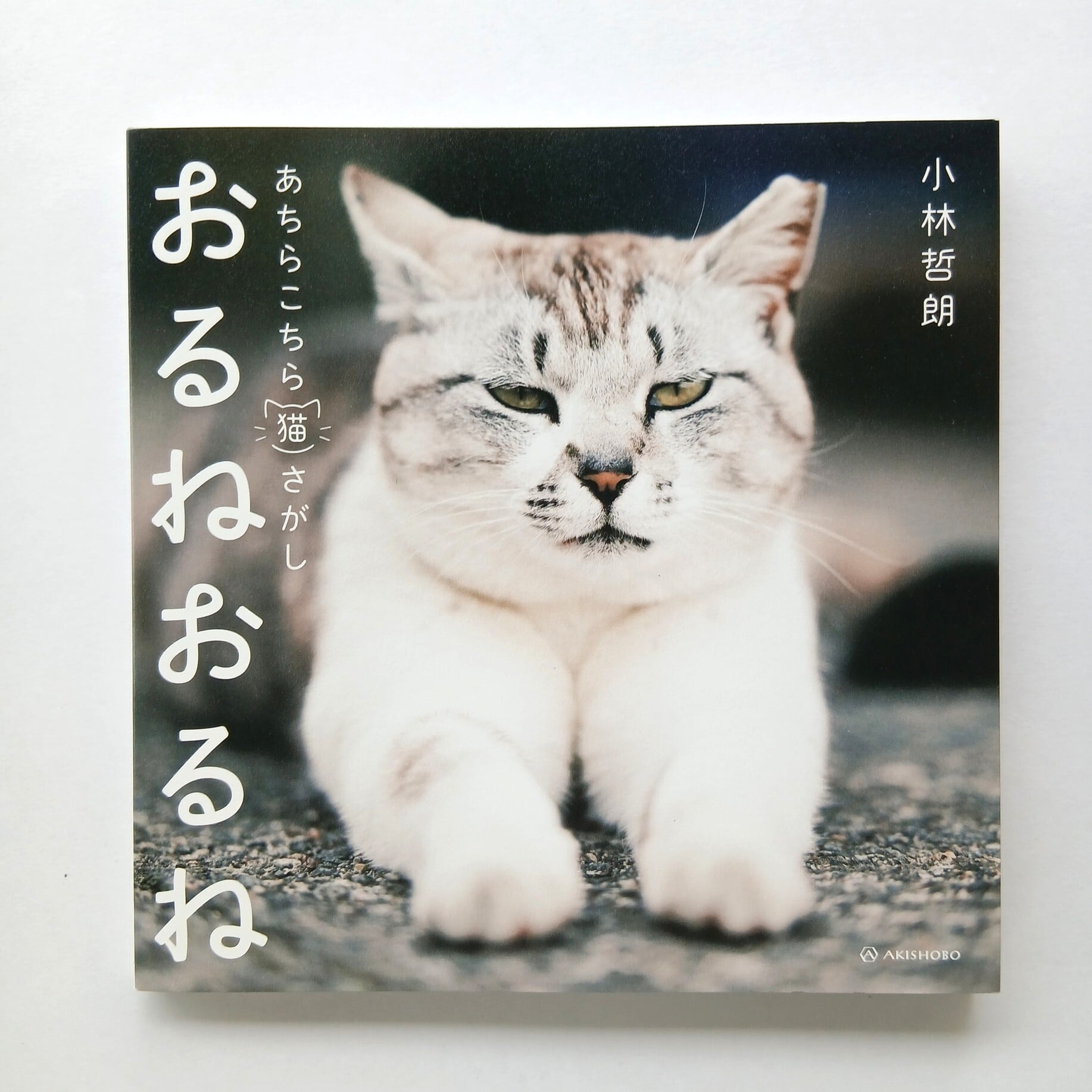 しおねこ おるねおるね あちらこちら猫さがし | ねこのみち