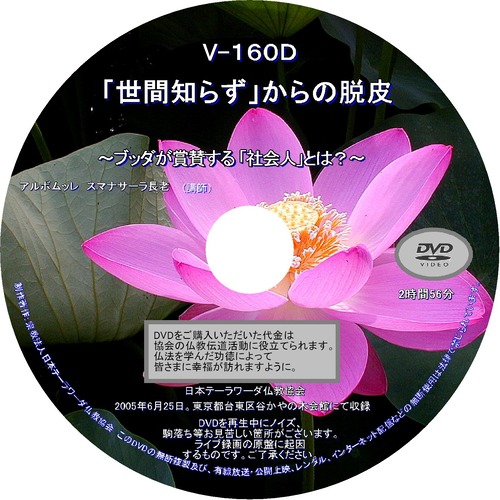 【DVD】V-160「『世間知らず』からの脱却」～ブッダが称賛する社会人とは？～ 初期仏教法話