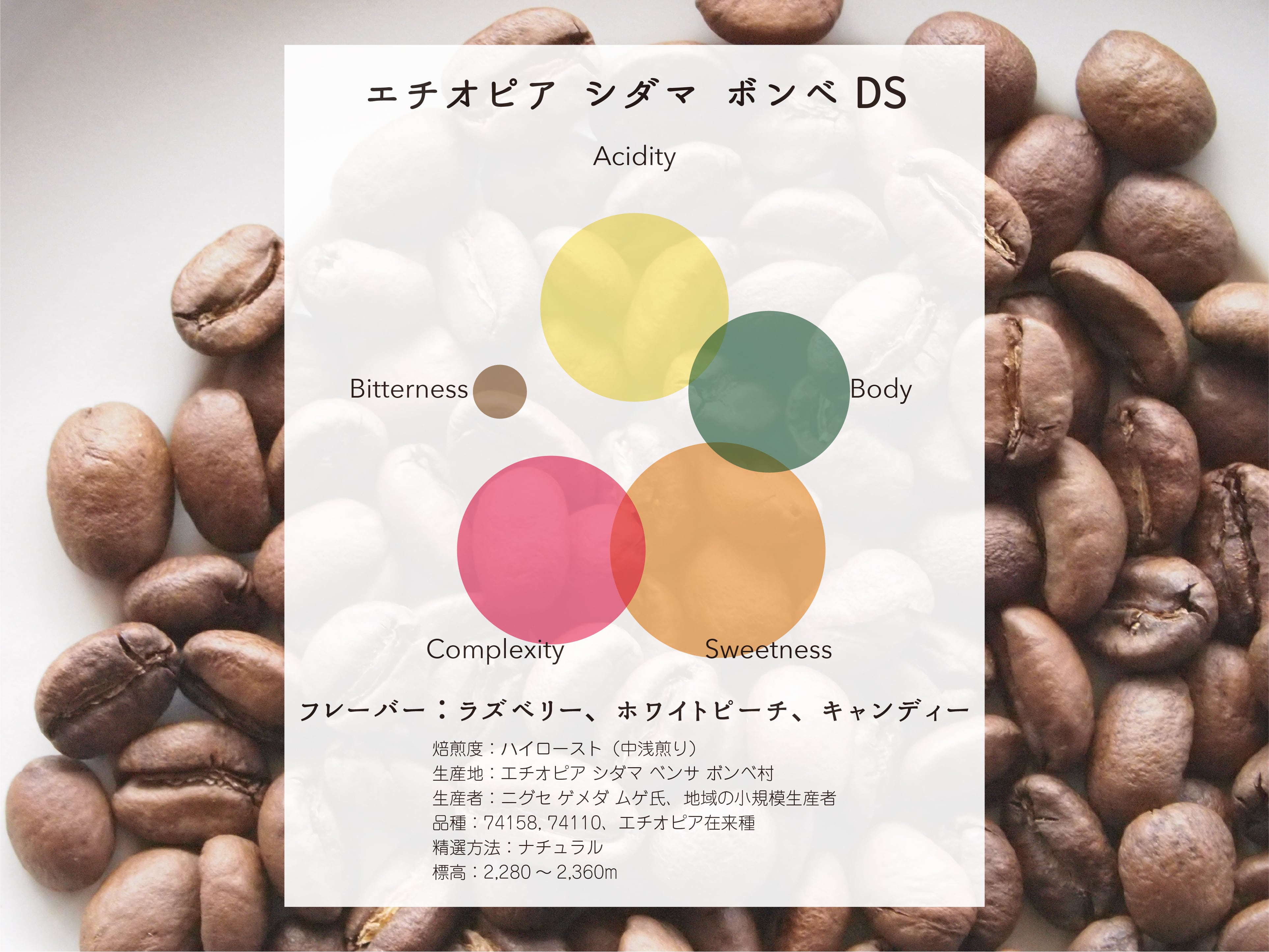 エチオピア シダマ ベンサ ボンベDS ナチュラル 500g（250g×2袋