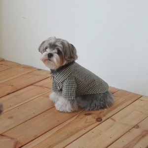 【予約】[ togethering ] Vintage Check Shirt｜White