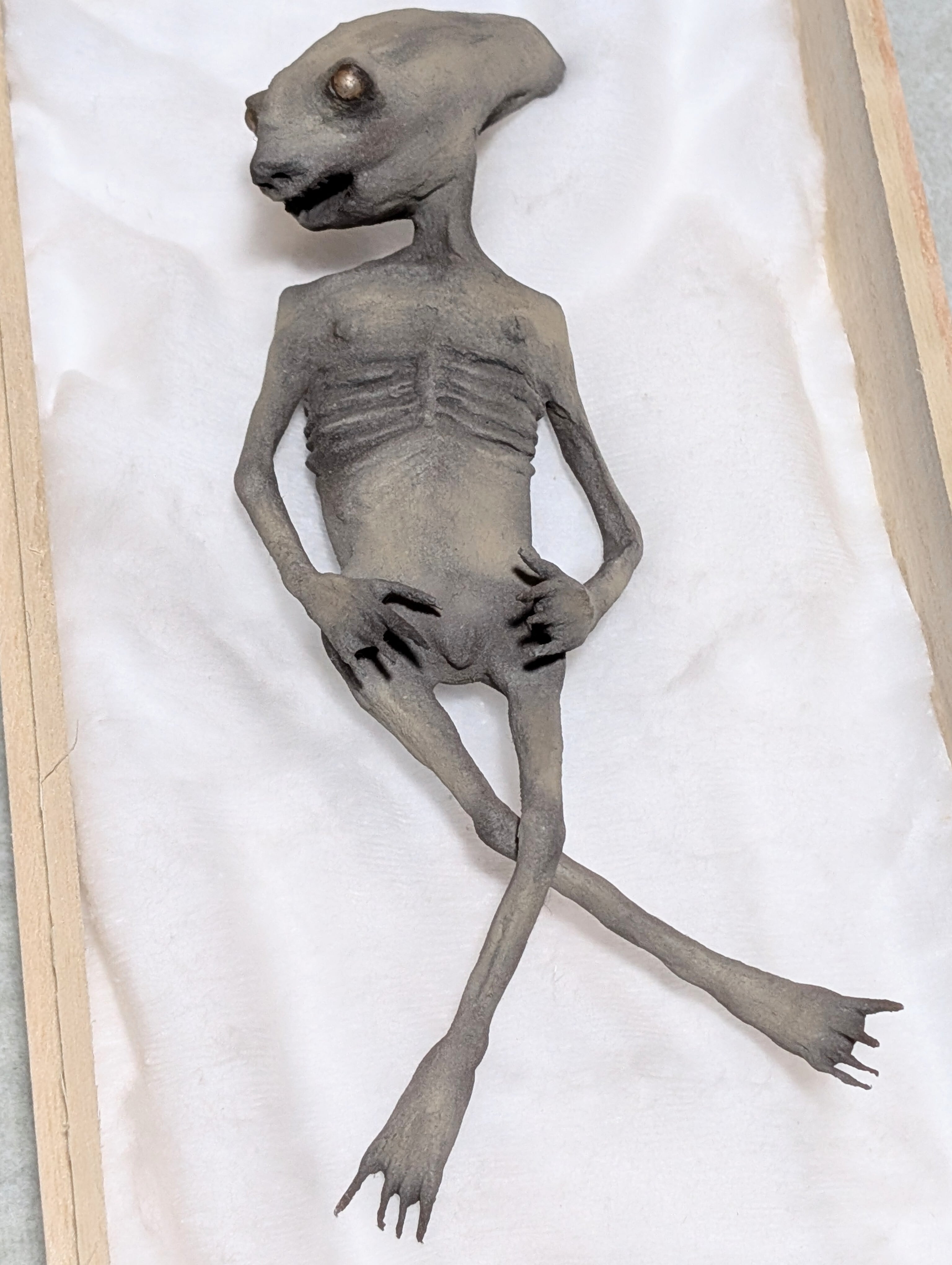 永野蟲 NN-00 寄生型怪奇蟲 怪奇標本 イ―502 | Pay ID