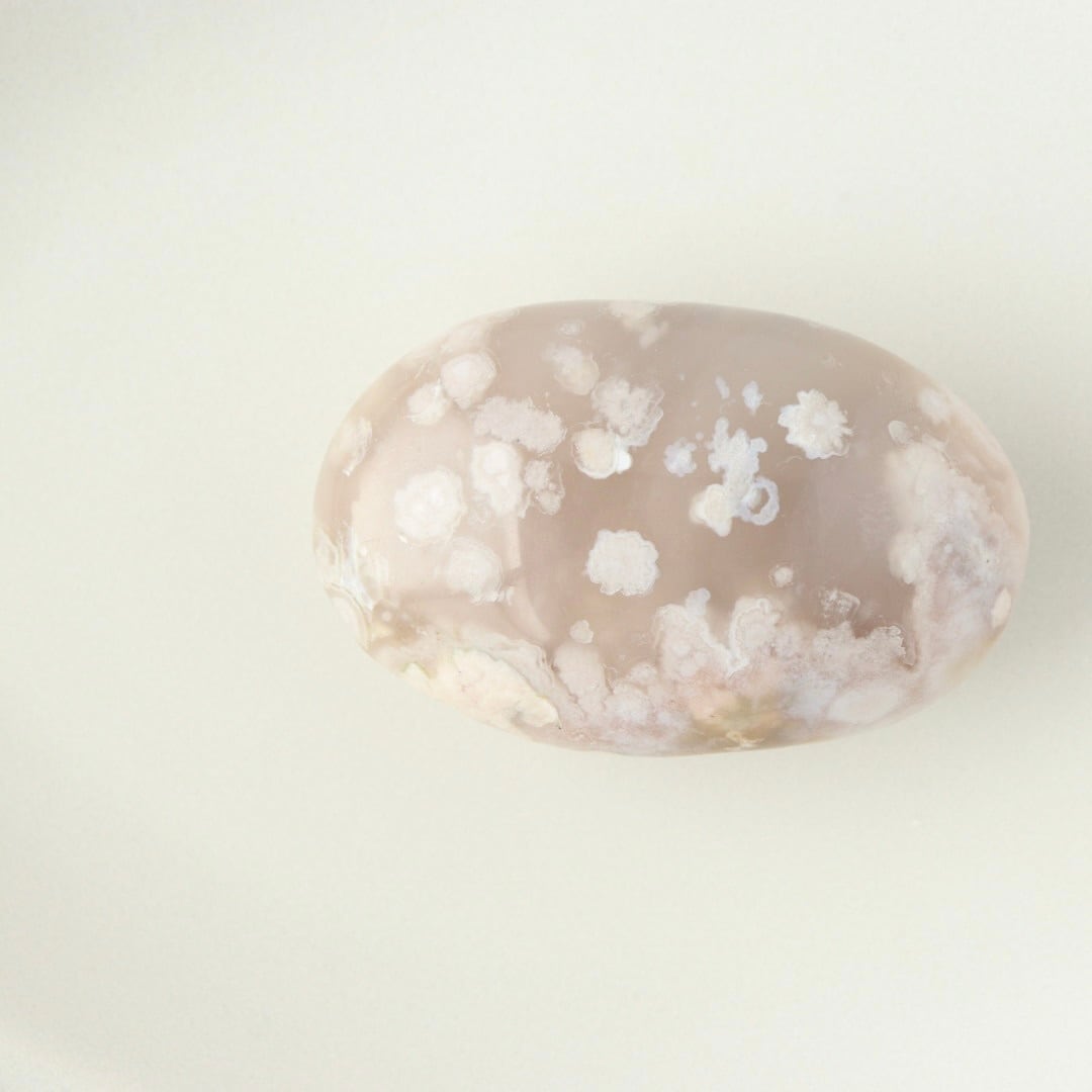 トロレアイトのサメ | 木霊石 KODAMA-ishi