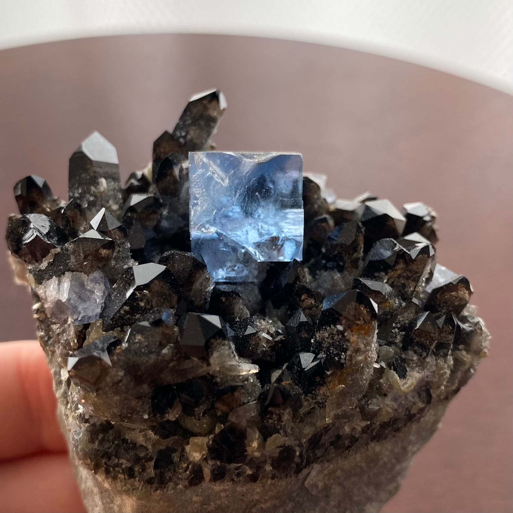 フローライト / スモーキークォーツ【Fluorite on Smoky Quartz