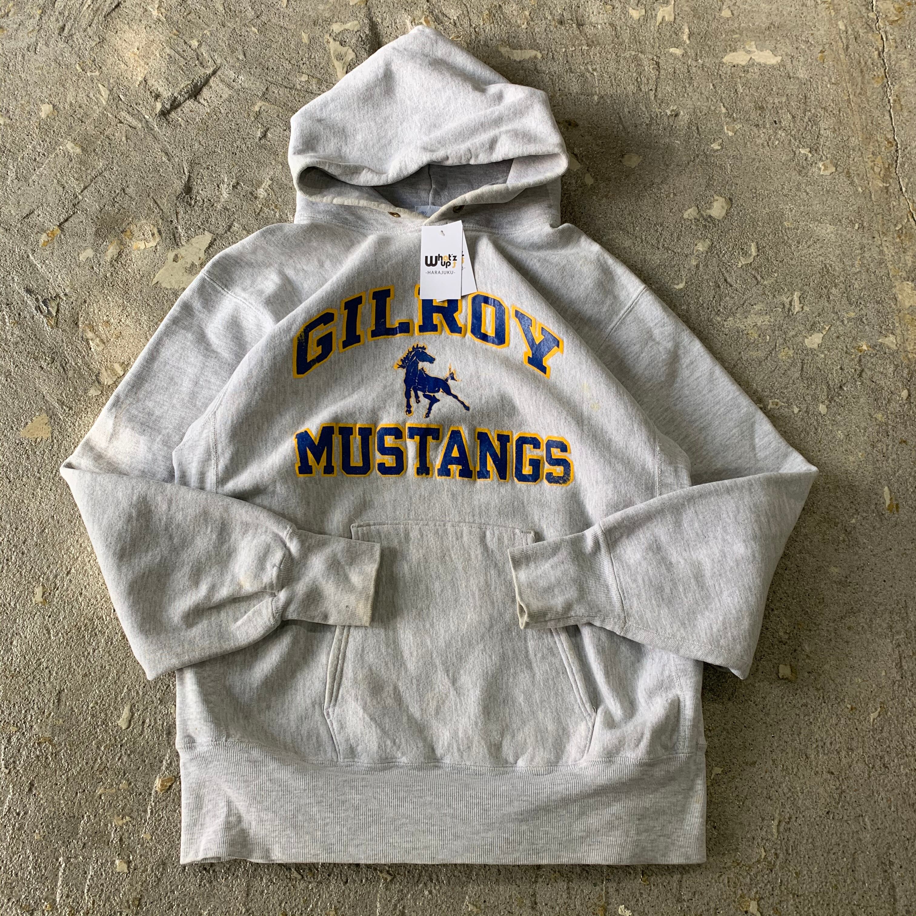 90s champion reverse weave hoodie | What