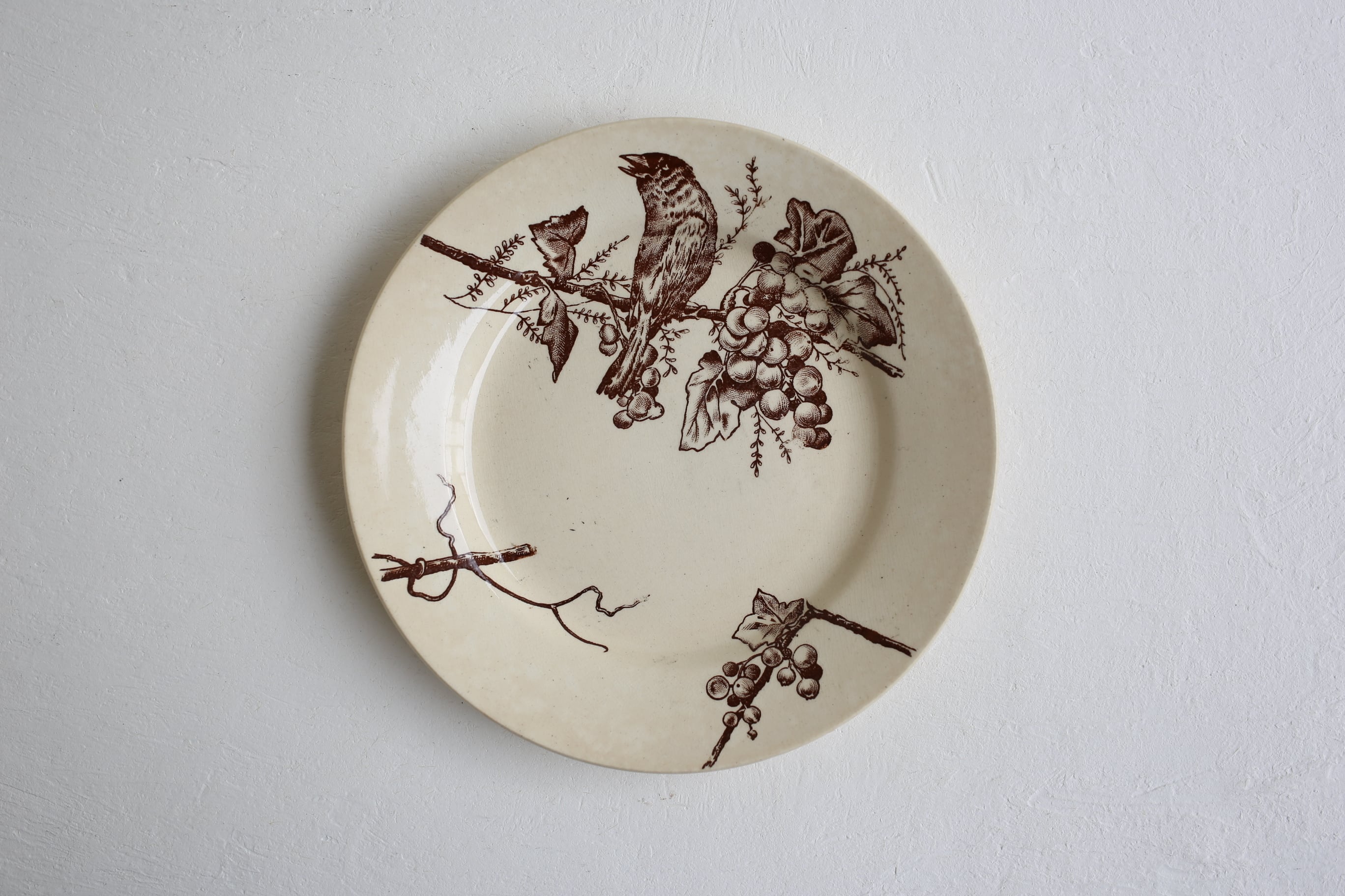 フランス アンティーク Choisy le Roi ショワジールロワ『鳥と木の実と小枝』 N-03546a