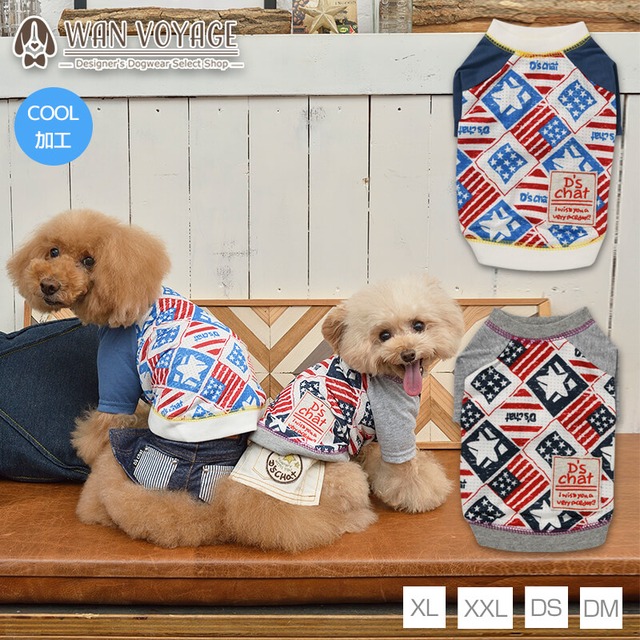 アメリカンメッシュTシャツ XL/XXL/DS/DM D's Chat-ディーズチャット- 犬服 ドッグウェア トイプードル チワワ ポメラニアン DS21SS ds151098-2