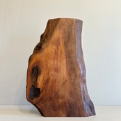 木の結婚証明書｜ヤマモモ｜No.709