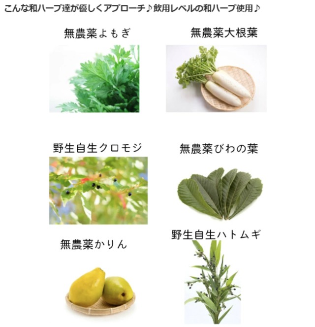 和ハーブ よもぎ蒸しパック 優やわらぎ｜国産無農薬ハーブ 26g×1包
