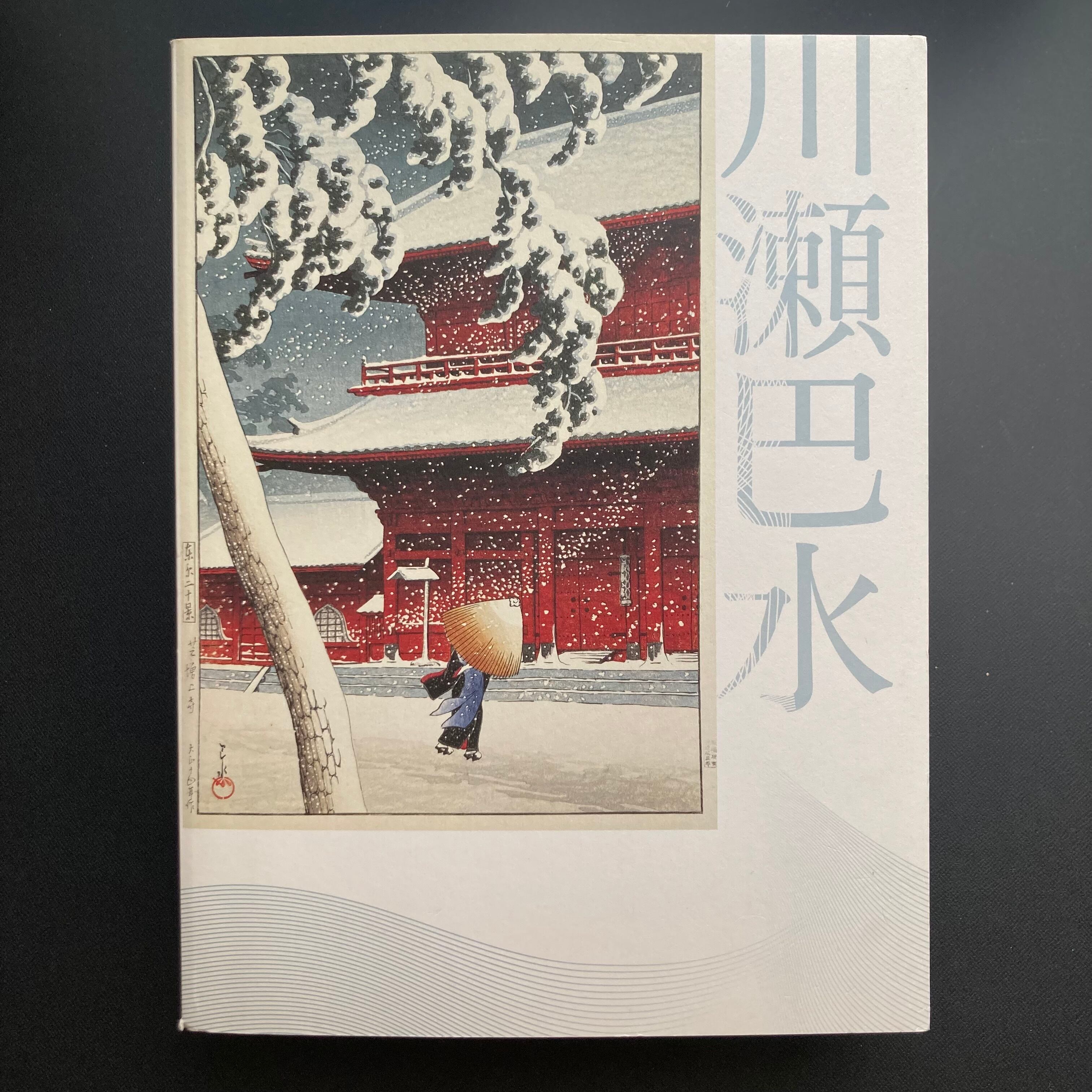 Points of View 視線の変遷 野又穫作品集 | ロムド書店