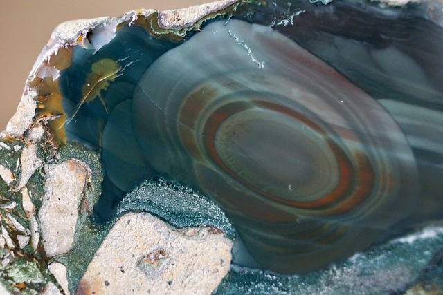 ブルーマウンテンジャスパー Jasper  ⑧