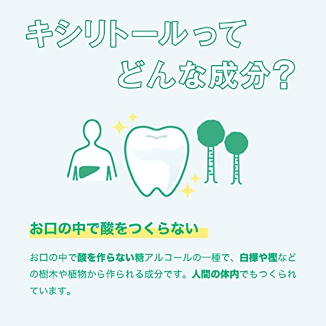 【トクホ】ロッテ キシリトールガム フレッシュミント ファミリーボトル 143g