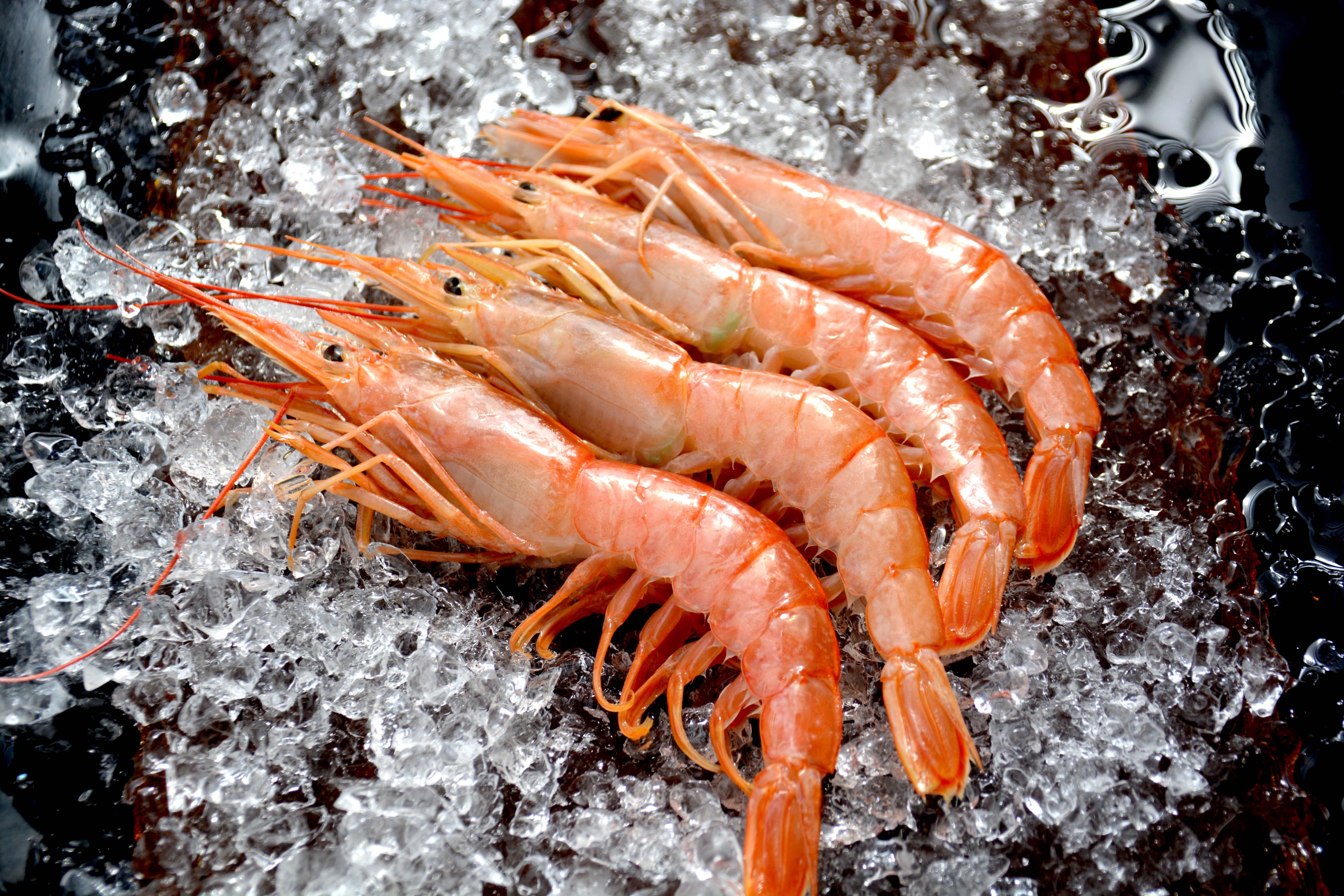 400gオマール海老入り!】豪華海鮮カンカン焼きセット（3人前） | 活