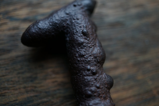 エジプト産リモナイト Goethite var. Limonite 1902