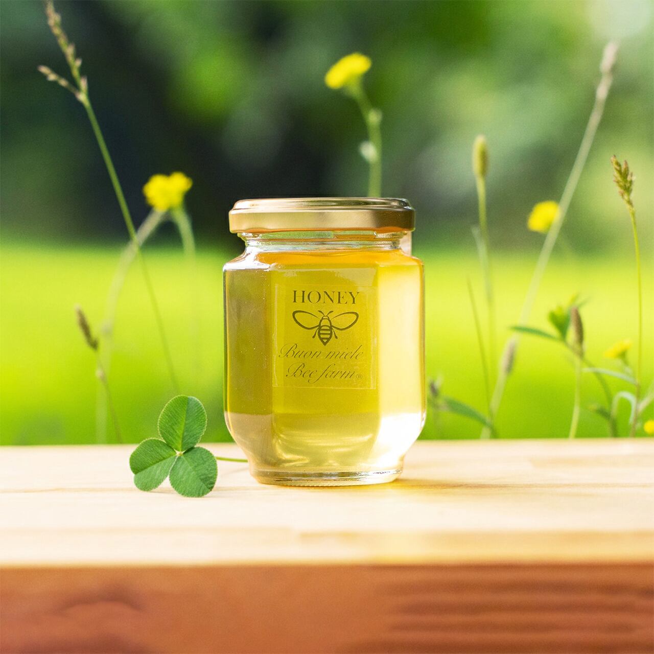 2025年宮崎産 「南国青島 春の花蜜」 百花蜜ハチミツ 160g 