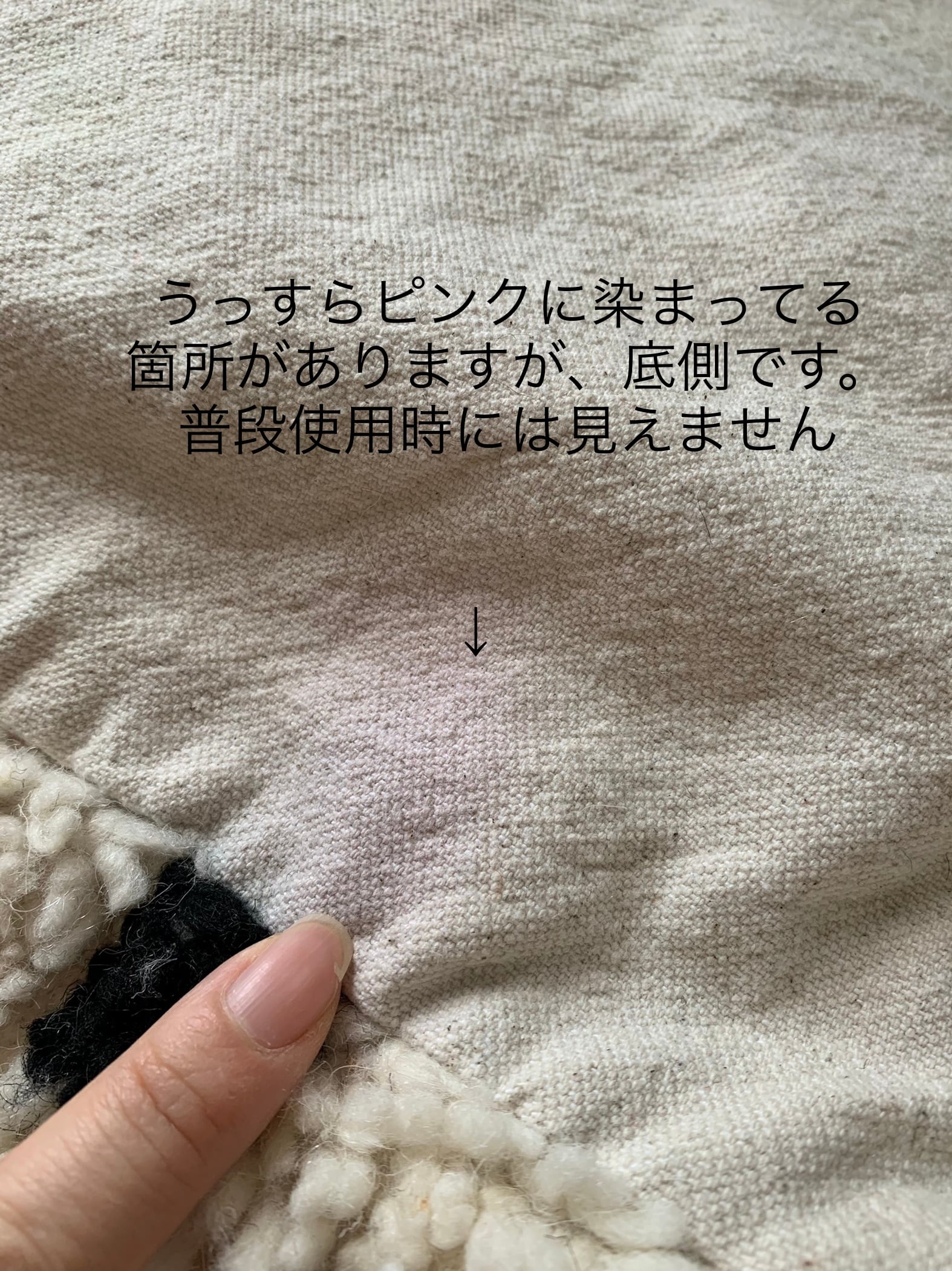 モロッコベニワレンプフ