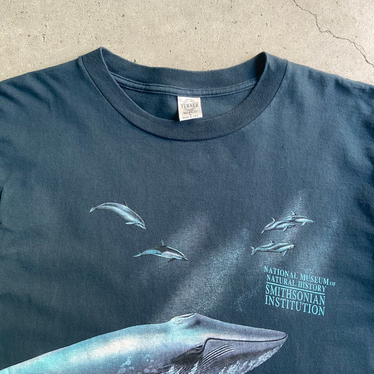 90年代 USA製 NATIONAL MUSEUM OF NATURAL HISTORY クジラ イルカ 巻き