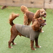 38DOG LOGO EMBROIDERY TEE / KAHKI