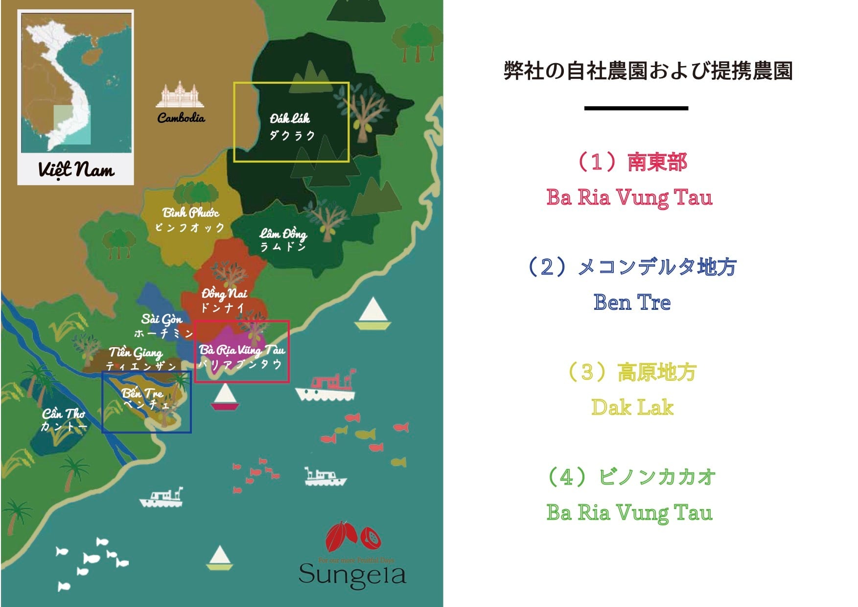 カカオ豆（未焙煎）1kg／袋　ダクラクの農園より直接お届け