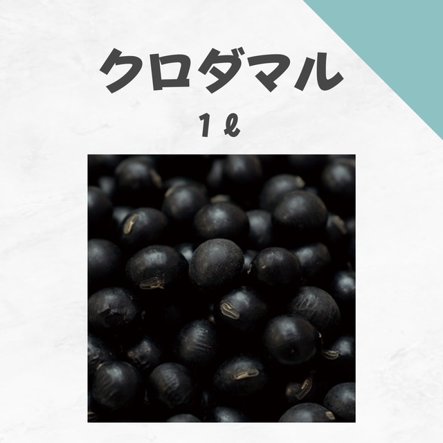 クロダマル　ダイズ種子・1L