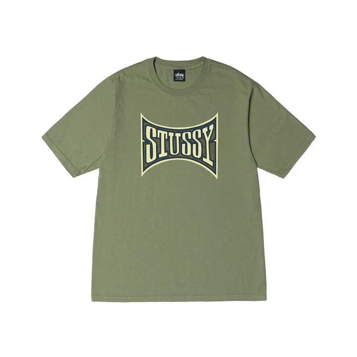 STUSSY CHAMPION PIGMENT DYED TEE ステューシー