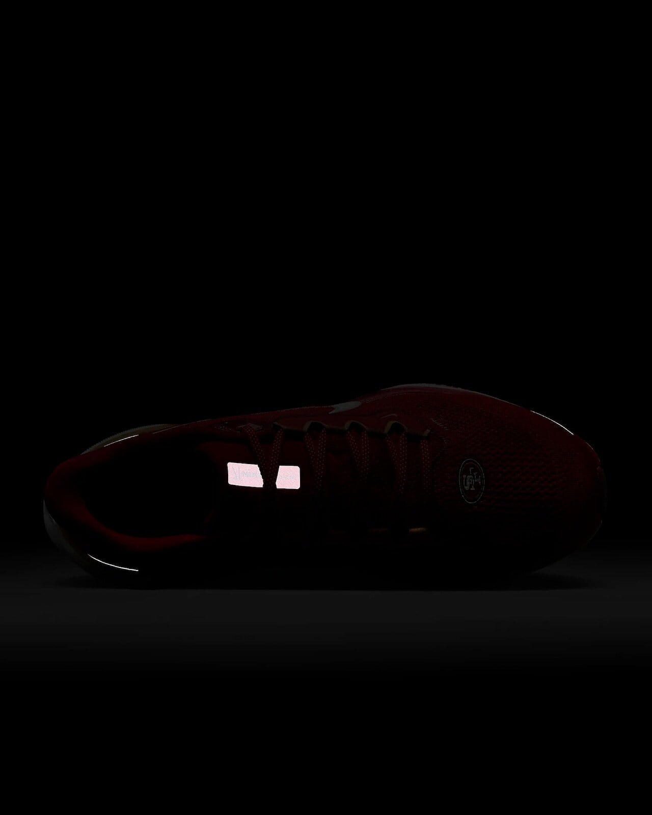 26㎝】Nike Pegasus 41 NFL サンフランシスコ・49ers ナイキ
