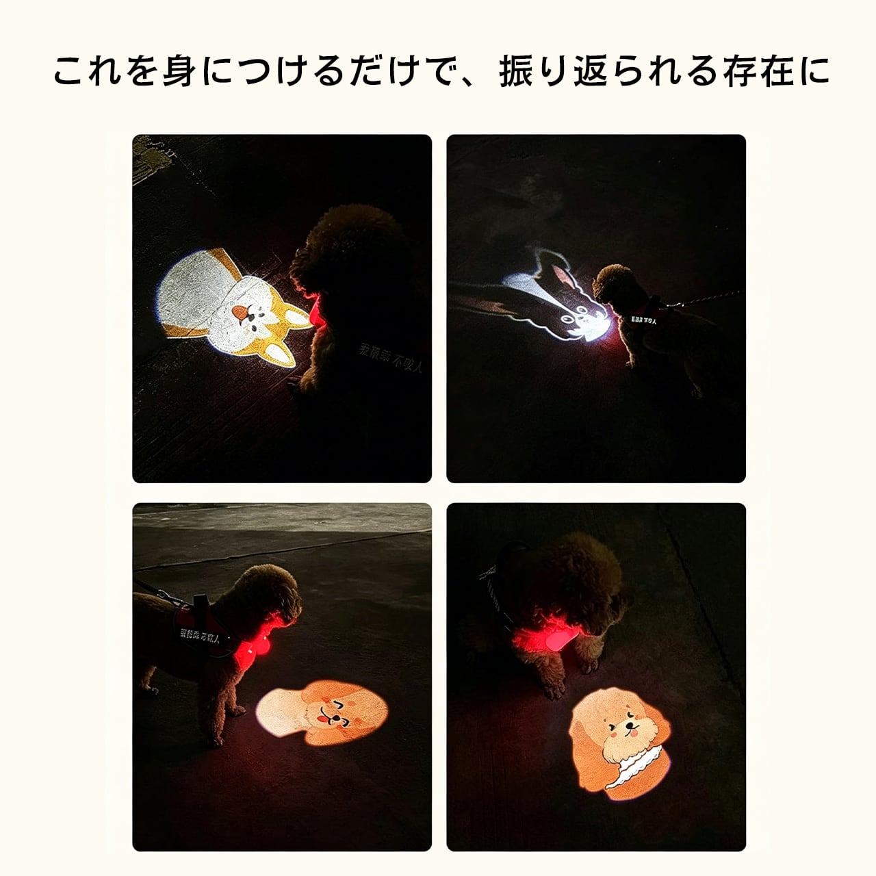 WQ83. 名前・写真カスタム対応【社交力爆上げムードライト】犬用