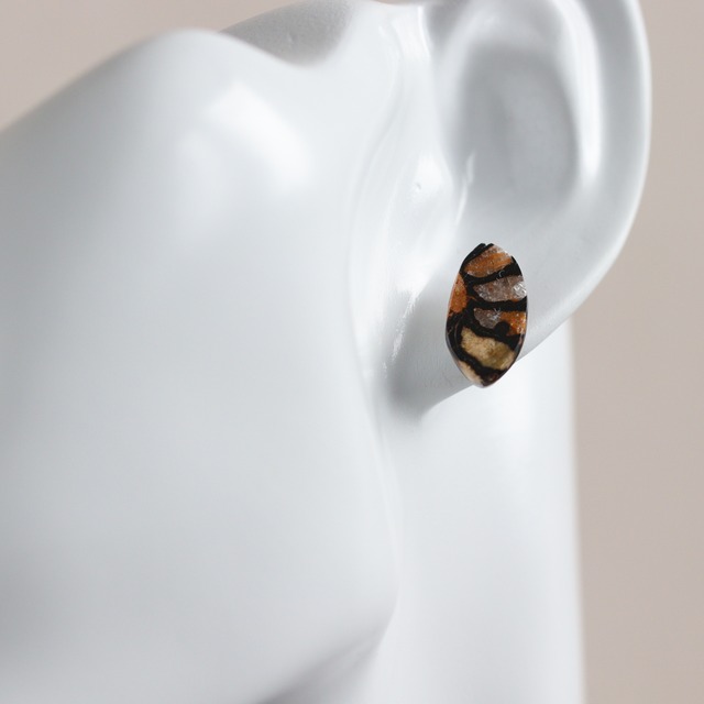 K14｜Fossilia｜アンモナイトのシングルスタッドピアス（片耳）B